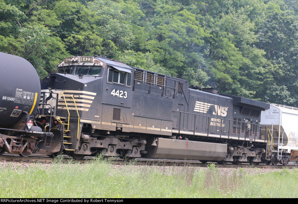 NS 4423